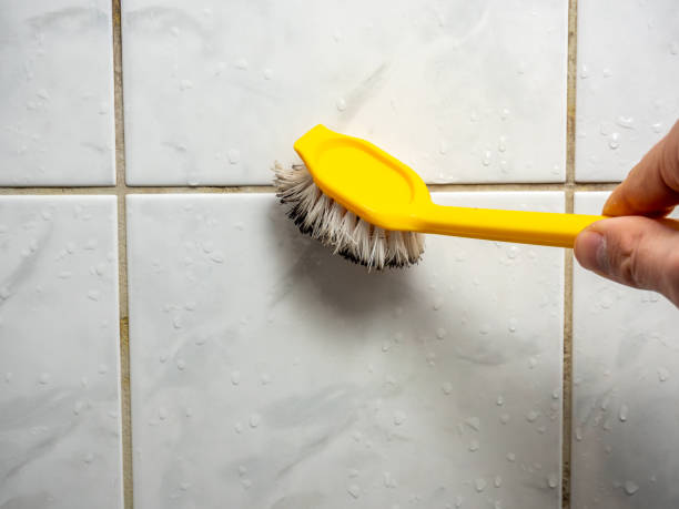 Mold Removal and Inspection in Fountainhead Orchard Hills, MD