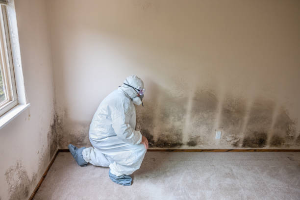 Crawl Space Mold Removal in Fountainhead Orchard Hills, MD